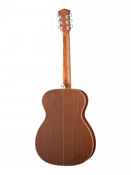 Акустическая гитара, с чехлом, глянец, Parkwood, S22-GT  рис.2 