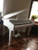 Цифровой рояль, с автоаккомпанементом, белый (2 коробки), Orla, Grand-120-WHITE