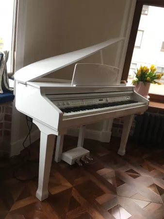 Цифровой рояль, с автоаккомпанементом, белый (2 коробки), Orla, Grand-120-WHITE