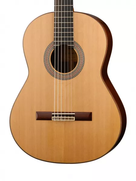 Классическая гитара Soloist 700 4/4, Prodipe, JMFSOLOIST700  рис.2 
