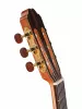 Performer Series Fiesta Электро-акустическая гитара, с чехлом, Kremona, F65CW-T-w/bag