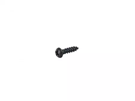 Саморез Черный 2,4х10мм, 50шт, Hosco, WS-18B
