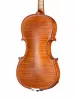 Professional Gama Скрипка 4/4, Gliga, P-V044