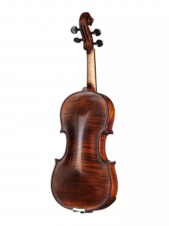 Professional Gama Special Скрипка 4/4, Gliga, P-V044-F