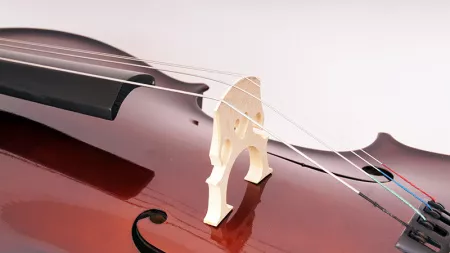MC760R-1/2 Виолончель 1/2, с чехлом и смычком Caraya