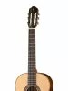 Soloist "Concert" Классическая гитара, NewTone, SCCLASNSPRW