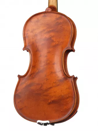Workshop Gems 1 OPB Birds Eye Скрипка 4/4, Gliga, AW-V044-OB