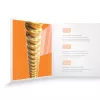 XS Комплект струн для акустической гитары, бронза 80/20, 10-47, D'Addario, XSABR1047