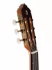 Classical Conservatory 5P Классическая гитара, Alhambra, 809-5P