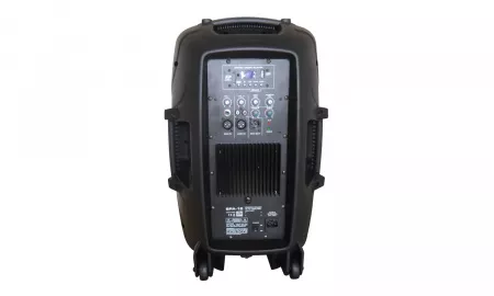SPA-12 Акустическая система активная, Leem