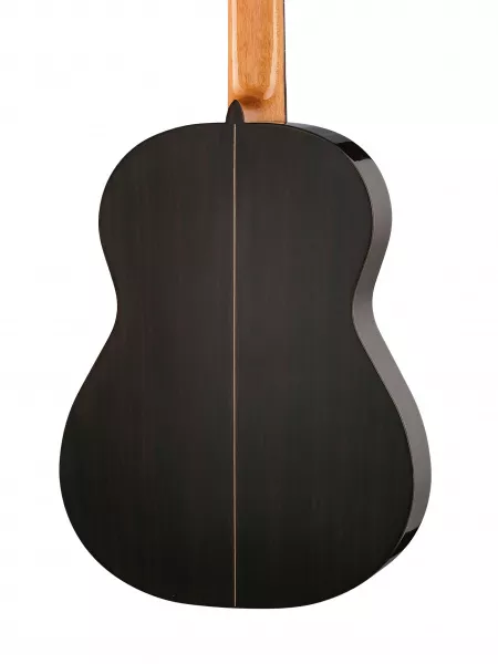 Espana Series Blanca Классическая гитара, Martinez, ES-09S  рис.2 