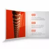 XS Комплект струн для акустической гитары, фосфорная бронза, 10-47, D'Addario, XSAPB1047