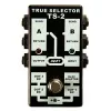 TS-2 TRUE SELECTOR Пассивный двухканальный коммутатор (селектор), AMT Electronics