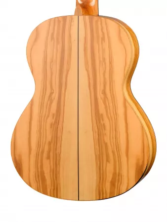 Classical Conservatory 6 Olivo Классическая гитара, Alhambra, 8.890V