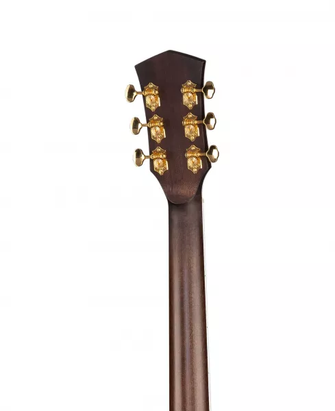 Gold Series Акустическая гитара, цвет натуральный, с чехлом, Cort, Gold-D8-WCASE-NAT  рис.2 