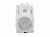 Громкоговоритель настенный, 20Вт, белый, TADS, DS-551K-WHITE
