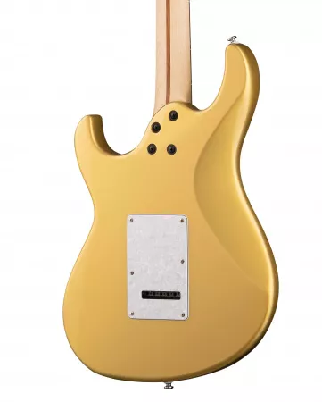 G Series Электрогитара, золото, с чехлом, Cort, G250-WBAG-CGM