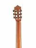 Standard Series Классическая гитара, Martinez, MC-88C