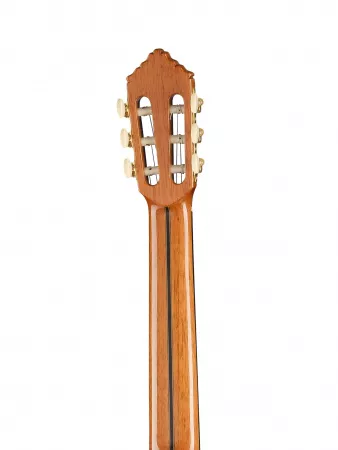 Premier Pro Madagascar Классическая гитара в футляре, Alhambra, 7.631