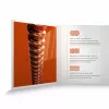 XS Комплект струн для мандолины, фосфорная бронза, 11-40, D'Addario, XSM1140