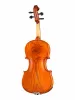 Professional Gama Unique Ash Скрипка 4/4, Gliga, PU-V044-OH