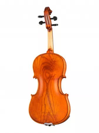 Professional Gama Unique Ash Скрипка 4/4, Gliga, PU-V044-OH