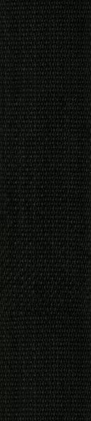 PWS100 Polypropylene Ремень для гитары, полипропиленовый, черный Planet Waves