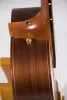 RHNG6C017 Акустическая гитара, Neva Guitars
