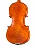 Proffesional Gama OPB Birds Eye Скрипка 4/4, Gliga, P-V044-OB