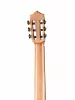 Standard Series Классическая гитара, Martinez, MC-48C