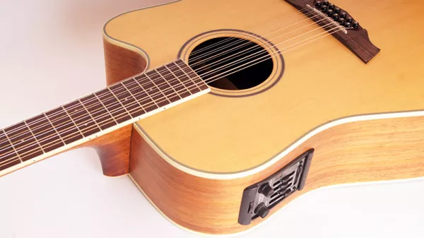 PW-460-12-NS Акустическая гитара 12-струнная, с чехлом, матовая, Parkwood