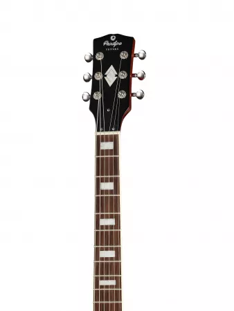 Электрогитара LP300, коричневый санберст, Prodipe, JMFLP300HNB