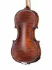 Professional Gama Special Antique Скрипка 4/4, Gliga, P-V044-S