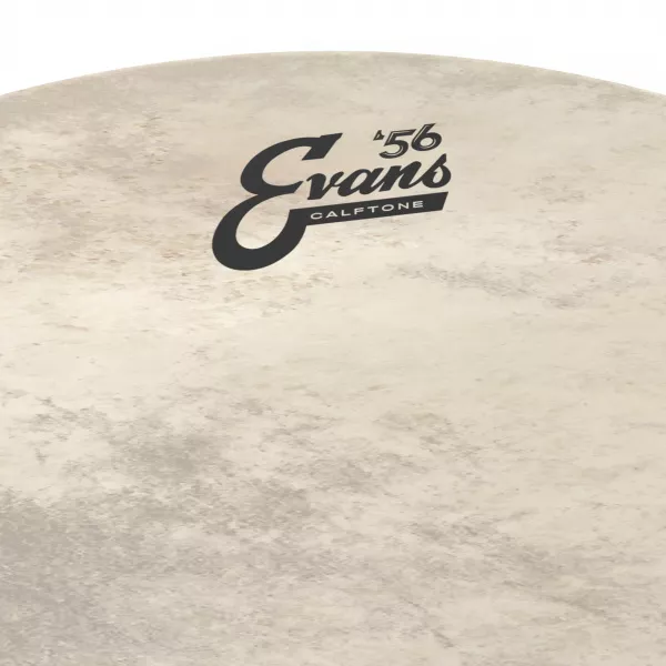 Calftone Coated Пластик для бас-барабана 30", Evans, BD30CT  рис.2 