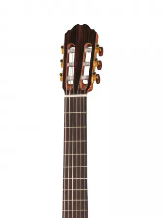 Performer Series Fiesta Электро-акустическая гитара, с чехлом, Kremona, F65CW-T-w/bag