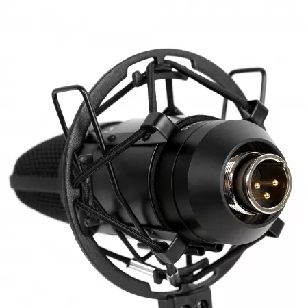 Микрофон конденсаторный, студийный, Cascha, HH-5050