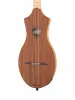 M4 Merlin Mahogany EQ Дульцимер со звукоснимателем, Seagull, 042517