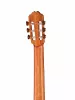 Performer Series Fiesta Электро-акустическая гитара, с чехлом, Kremona, F65CW-T-w/bag