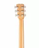 Steel String Series Акустическая гитара, Kremona, F10