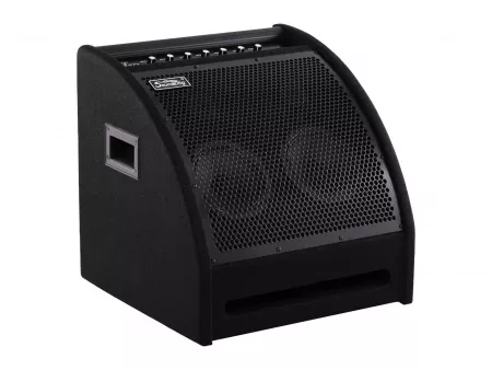 Монитор для электронной ударной установки, 200Вт, Soundking, DS200