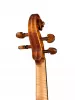 Professional Gama Genova Скрипка 4/4, Gliga, PG-V044-A