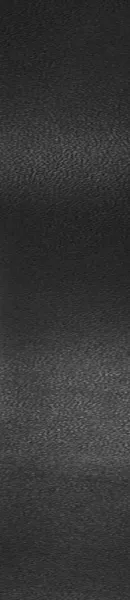25L00-SS Ремень для гитары, овечья кожа, Planet Waves