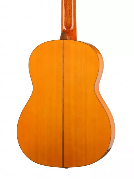 Family Series Pro Классическая гитара 4/4, желтая, Ortega, R170F  рис.2 