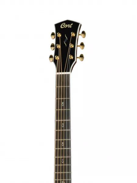 Gold Series Акустическая гитара, цвет натуральный, с чехлом, Cort, Gold-O8-WCASE-NAT  рис.2 