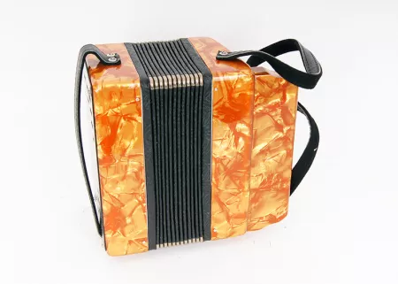 C20XL-C-GOLD Гармонь 