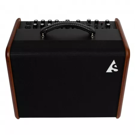 Acoustic Solutions ASG-8 Wood Комбоусилитель для акустической гитары, 120Вт, Godin, 050154