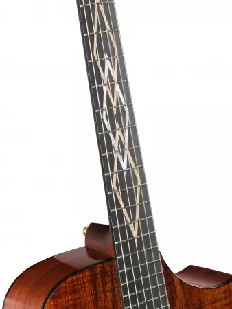 Frank Gambale Luxe Series Классическая гитара со звукоснимателем, с чехлом, Cort, LUXE-NYLON-WCASE-BR