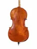 Workshop Gems 1 Виолончель 4/4, Gliga, AW-C044