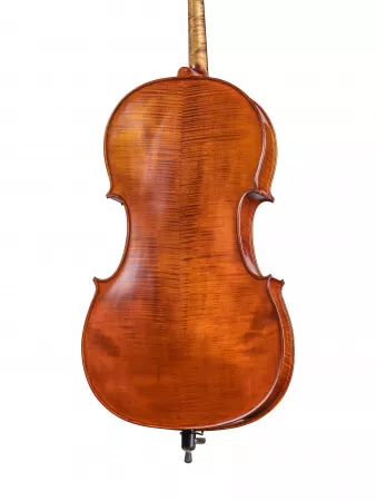 Workshop Gems 1 Виолончель 4/4, Gliga, AW-C044