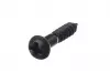 Саморез 2,4х12мм, 50шт, черный, Hosco, WS-19B